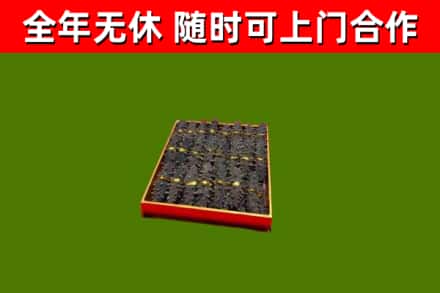 铜鼓县回收海参